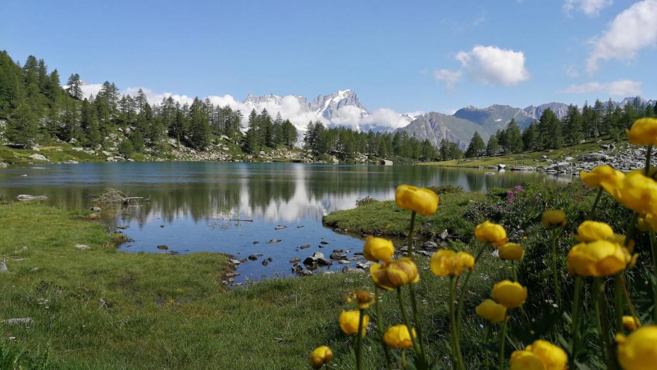 Chalet Eden Eco Hotel, Restaurant & Wellness Ла-Тюйль Экстерьер фото